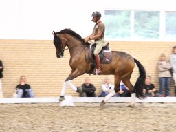 IMG_1571_web
